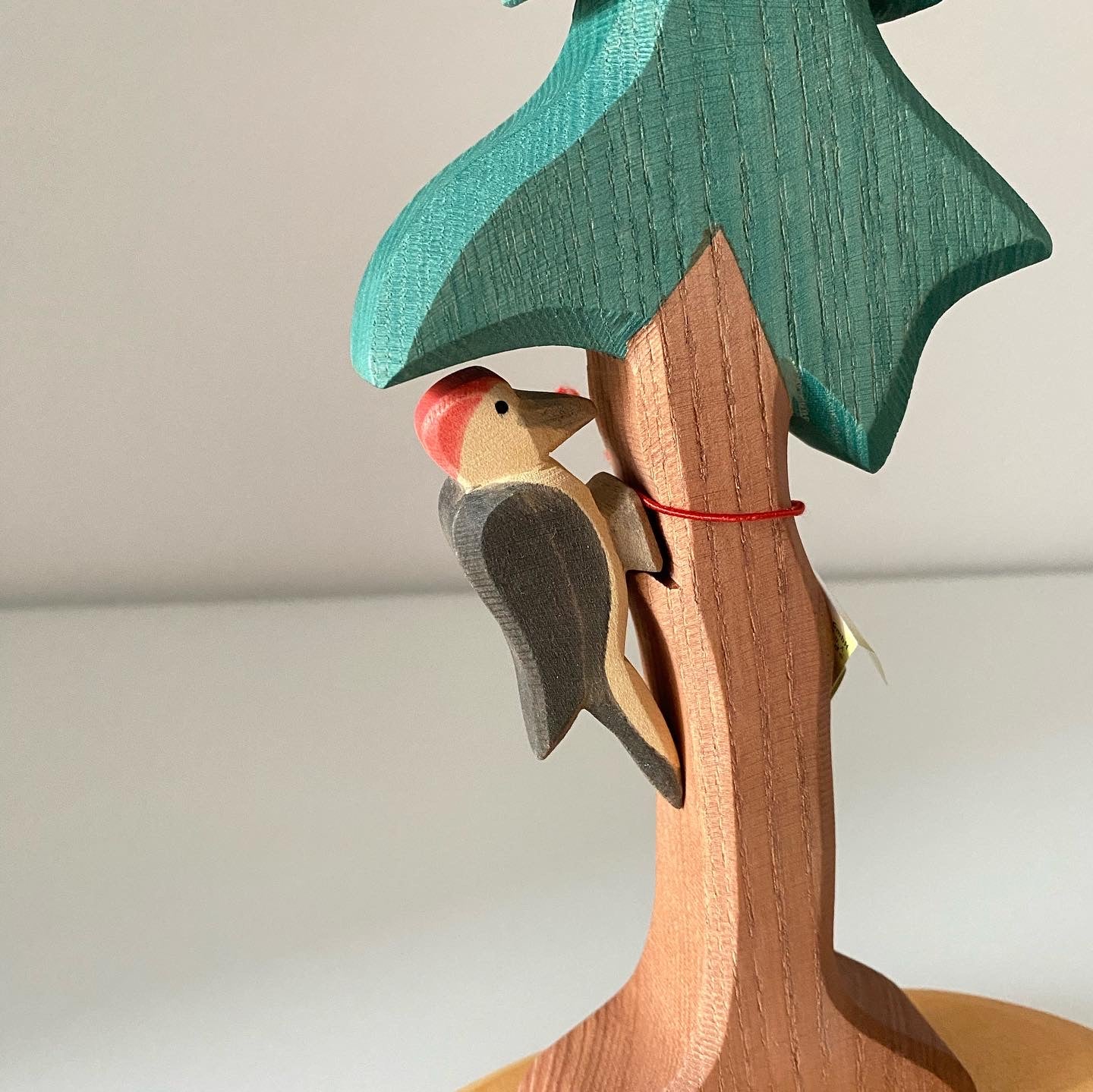 Ostheimer Woodpecker / Specht