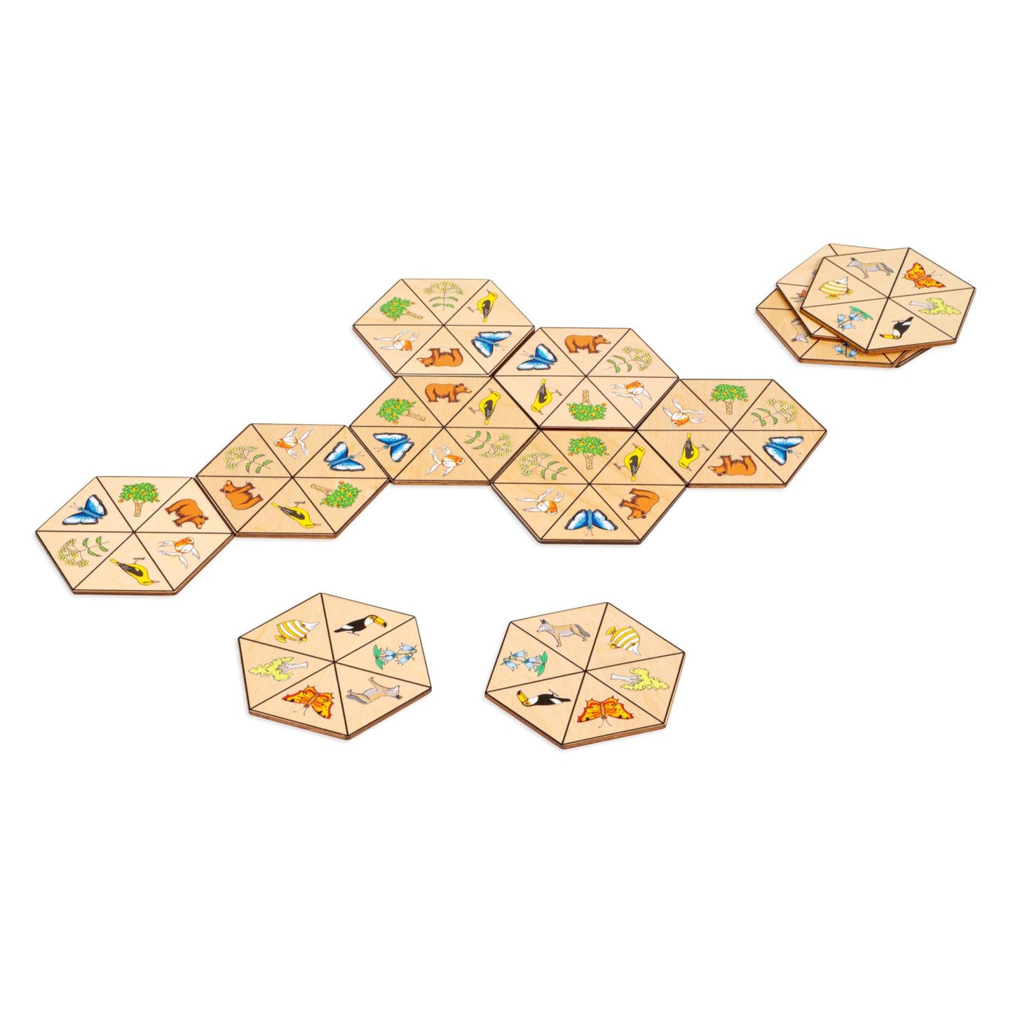 Toys for Life Hexagon nature